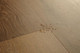 AVMPU40317_Structure_Drops.jpg.jpeg AVMPU40317_Structure_Drops.jpg.jpeg